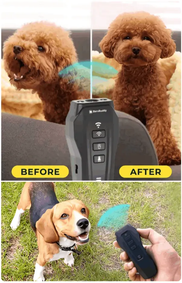 What is BarxBuddy